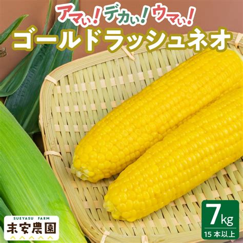 【楽天市場】【ふるさと納税】とうもろこし 7kg 15本以上 朝採れ スイートコーン 農家直送 ゴールドラッシュネオ 甘い 1年のうちの1ヶ月