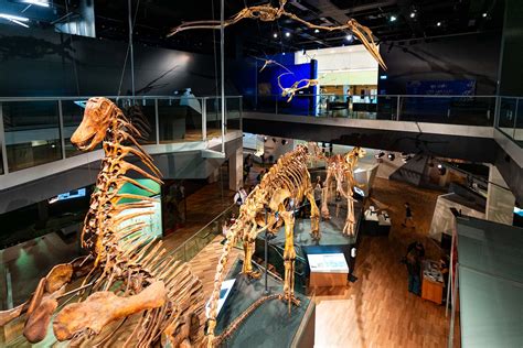 Melbourne Museum 2025