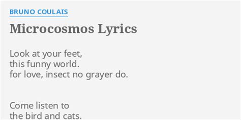 MICROCOSMOS LYRICS By BRUNO COULAIS Look At Your Feet