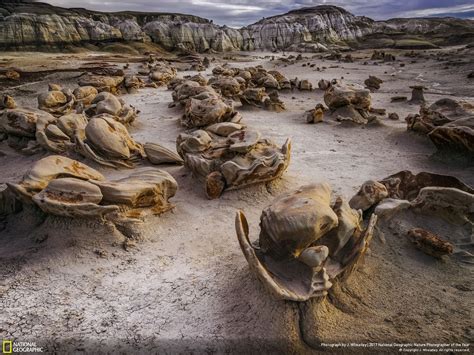 As Melhores Das Melhores National Geographic Anuncia As Fotografias