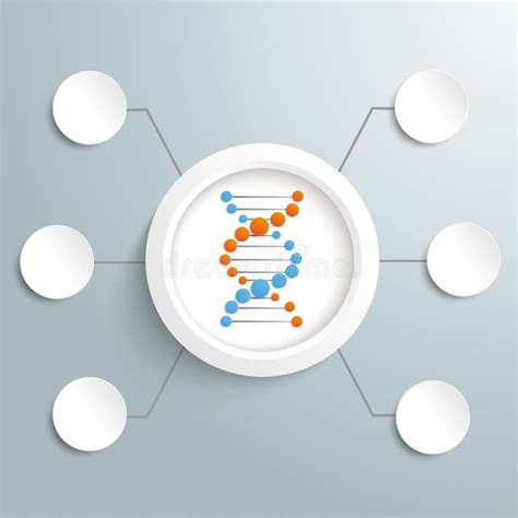 1 Dna Infographic Free Stock Photos StockFreeImages