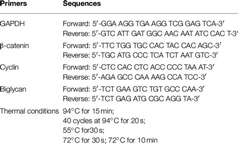 Real Time Pcr Primers And Amplification Conditions Download Table