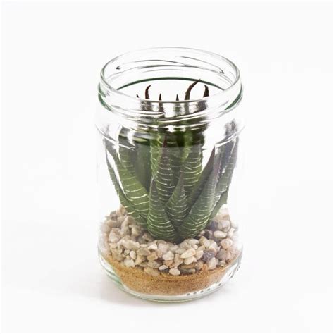 Plante Succulente Artificielle Agave Dans Un Grand Pot En Verre Vert