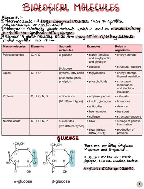 Biological Molecules Notes Cie Biology A Level Studocu