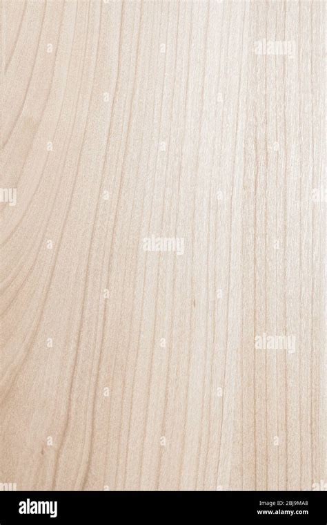 High Resolution Blonde Wood Texture Stock Photo Alamy