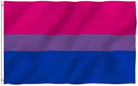 Anley Fly Breeze 3x5 Foot Bi Pride Flag Bisexual Flags Double Stitched