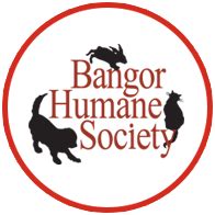 Bangor Humane Society | Pet Adoption & Helping Animals | Bangor, Maine