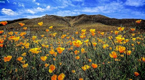 Visit Perris 2024 Travel Guide For Perris California Expedia