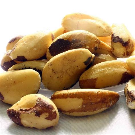 Brazil Nut • Oriion Food Specialties