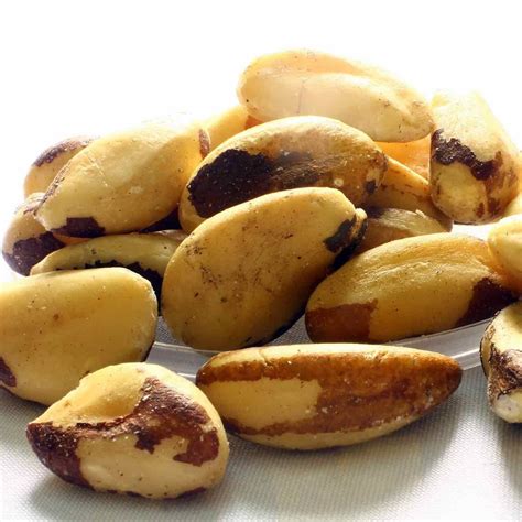 Brazil Nut Oriion Food Specialties