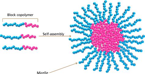 Figure 1 From Mixed Block Copolymer Solutions Self Assembly And Interactions Semantic Scholar