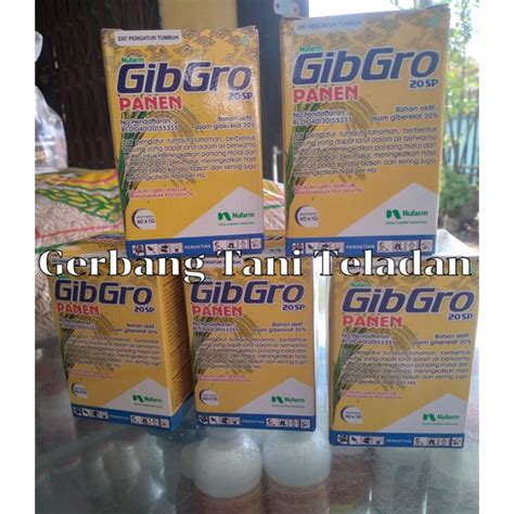 Jual Kotak Gibgro Panen Pak Gibgro Panen Gibgro Sp Isi