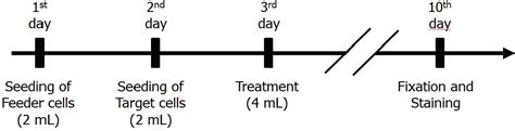 Figure From In Vitro Syrian Hamster Embryo Cell Transformation Assay