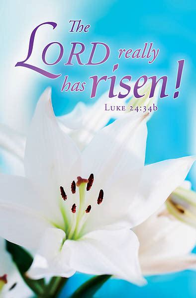 The Lord Really Has Risen Easter Bulletin Pkg Of Cokesbury