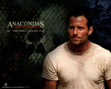 Download Wallpaper Anaconda - Anaconda Blood Orchid Actors - 1200x960 ...