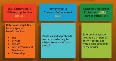 Federal Agencies And Their Roles In Immigration Immigrants And State