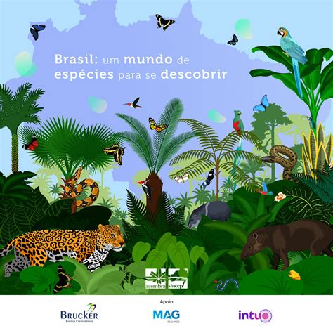 Jul Biodiversidade Brasileira Acembra Sincep News