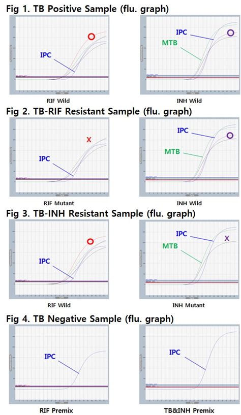 Accupower® Tb And Mdr Real Time Pcr Kit