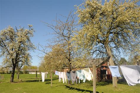 Hoogstamboomgaarden Regionale Landschappen