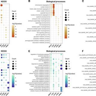 Identification And Functional Analysis Of Rnf Interacting Proteins A