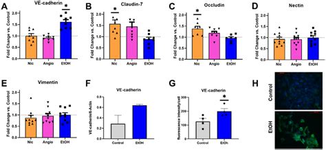 Transcriptional And Protein Expression Levels Of Complexing Junctional