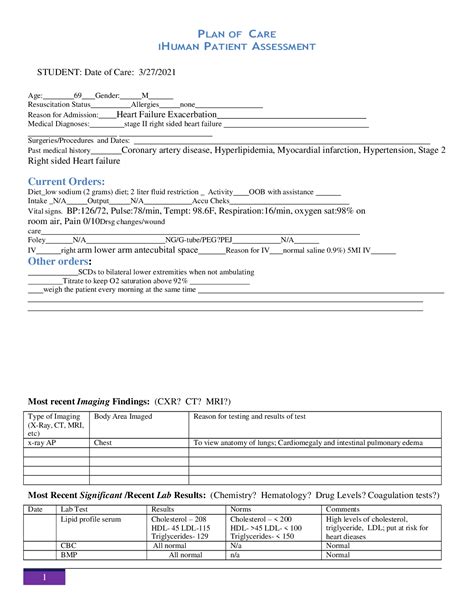 IHUMAN PATIENT ASSESSMENT PLAN OF CARE Latest 2021 Browsegrades