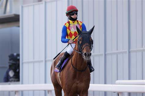 【川崎記念】初の小回りコースも全く苦にせず 横山和生騎手騎乗のウシュバテソーロがgⅠ級連勝｜【spaia】スパイア