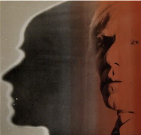 The Shadow Andy Warhol Wikiart Org