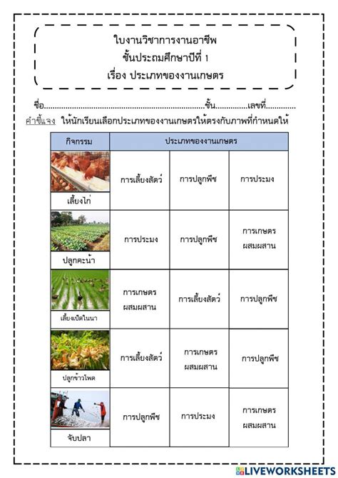 ใบงานวิชาการงานอาชีพ ป1 เรื่อง ประเภทของงานเกษตร Online Exercise For