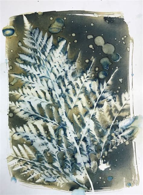 Cyanotype Alternative Photographic Printing Workshop Cyanotype