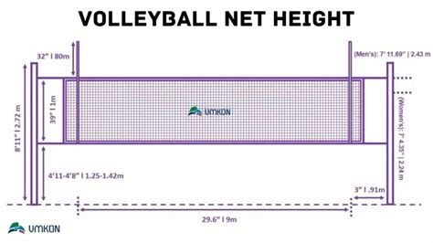 Volleyball Net Height For Th Grade At Diane Soto Blog