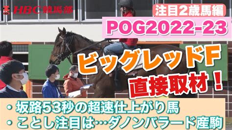 ビッグレッド国part19【ゴルシ産駒応援スレ】｜あにまん掲示板