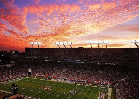 Tampa Bay Bucs Stadium | Tampa bay bucs, Tampa bay area, Tampa bay ...