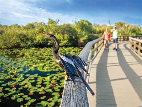 The Best Islands In The Florida Keys Escapism To
