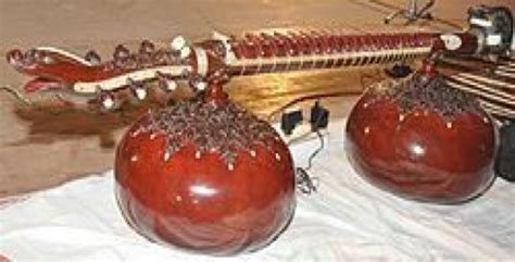 Dhrupad and Musical Instruments