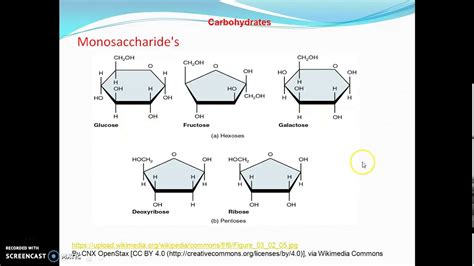 Monosaccharides Youtube