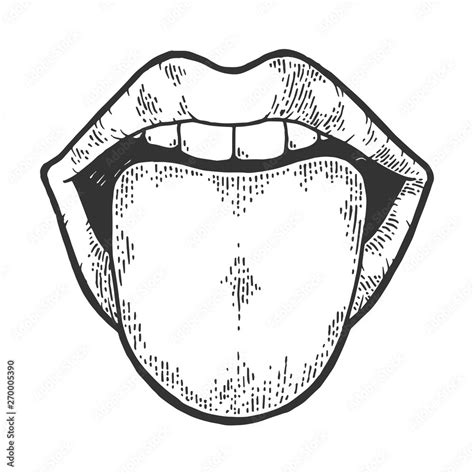 Tongue Showing Out Of Mouth Sketch Engraving Vector Illustration