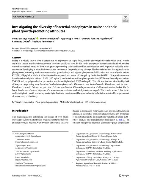 PDF Investigating The Diversity Of Bacterial Endophytes In Maize And