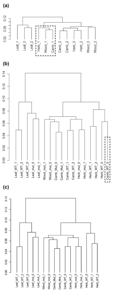 Fig S Dendrograms Presenting The Jensen Shannon Divergence Of Fpkm