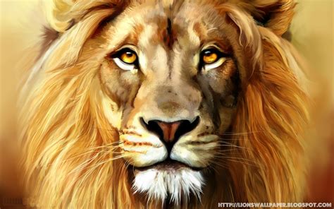 Lion drawing - Lions Wallpaper - Lions Wallpaper