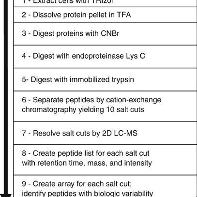 Reproducibility Of Lc Ms Analysis A Base Peak Chromatogram