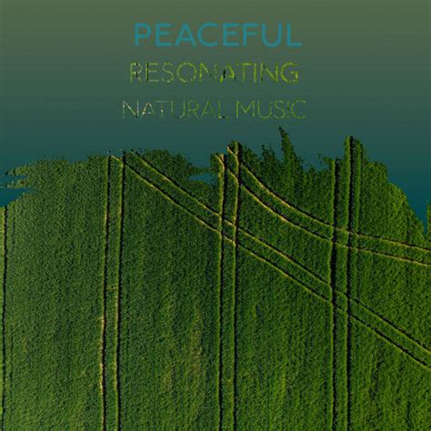 Zzz Peaceful Resonating Natural Music Zzz Album By Nature Sounds