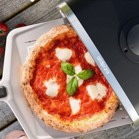 Aidpiza Pizza Oven Outdoor Wood Fired Pizza Ovens Pellet Pizza