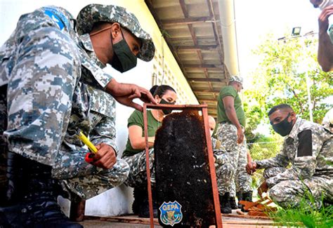 Guarda Municipal De Salvador Realiza Curso Ambiental Para Guarda De