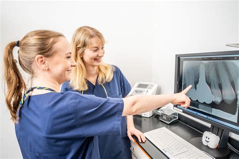 Würzburg Ihr Zahnarzt vor Ort ZTK Zahngesundheit