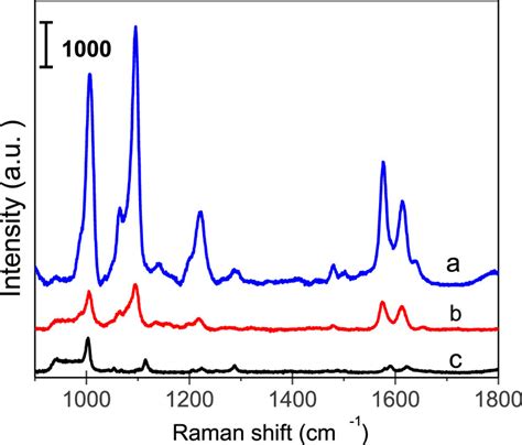 Sers Spectra Of Mpy L M On The Pop A And The Flat