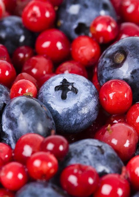 Blueberries And Cranberries Stock Image Image Of Colours Cranberries