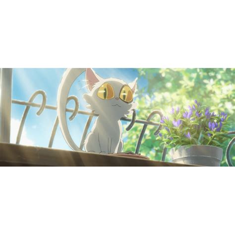 Suzume Formato Dvd