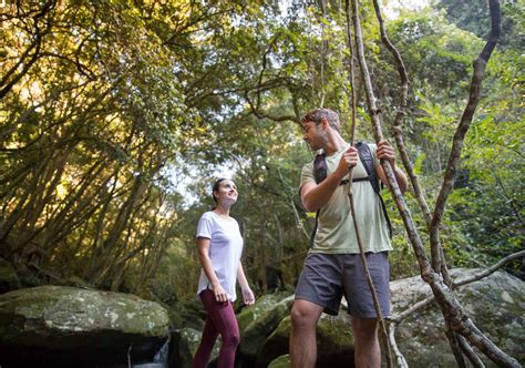 5 Breathtaking Walking Trails around Lake Macquarie | KAYAK