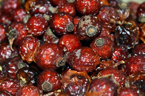 Banco De Imagens Natureza Plantar Fruta Baga Maduro Comida Vermelho Produzir Macro